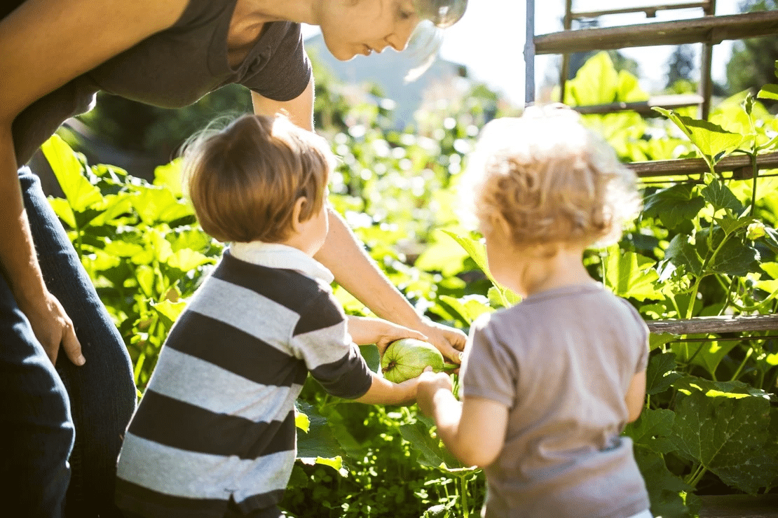 Heritage House Childcare | MAKING VEGGIES FUN IN 5 EASY STEPS